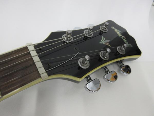 【高額買取実施中!!】Aria Pro 2 セミアコギター TA-800 | 楽器買取・楽器査定なら中古楽器堂
