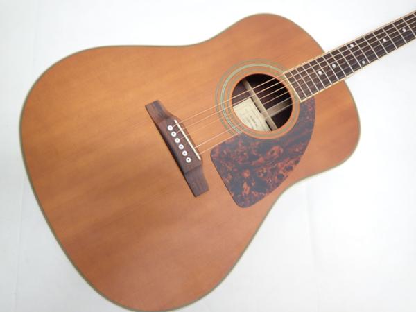 Epiphone DR-500M オール単板美品です